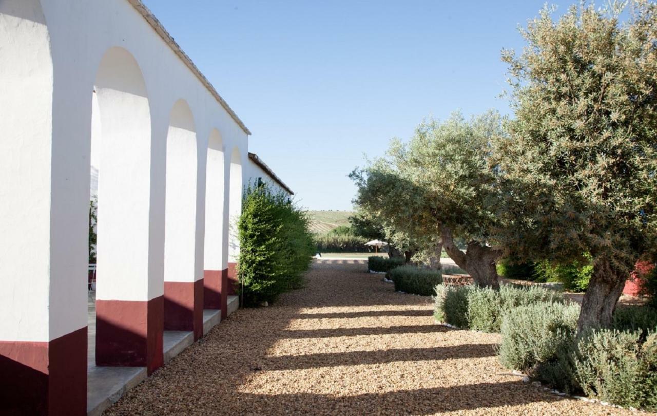Hotel Quinta Da Chamine Ferreira Do Alentejo Exterior foto
